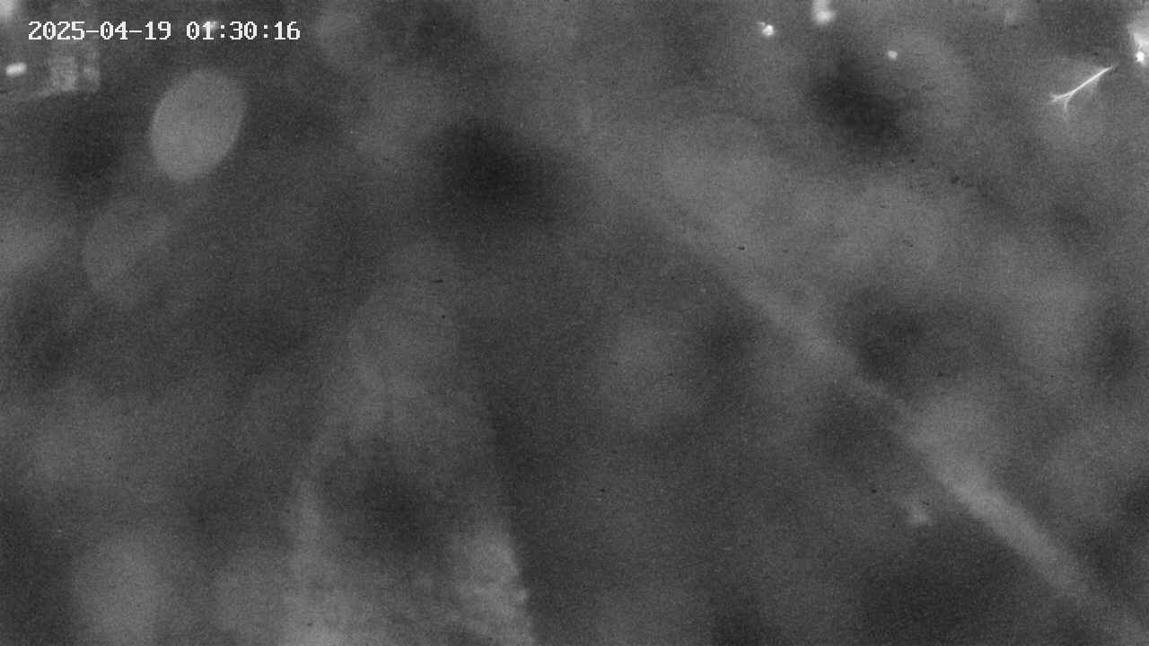 area9-20250419013017.jpg