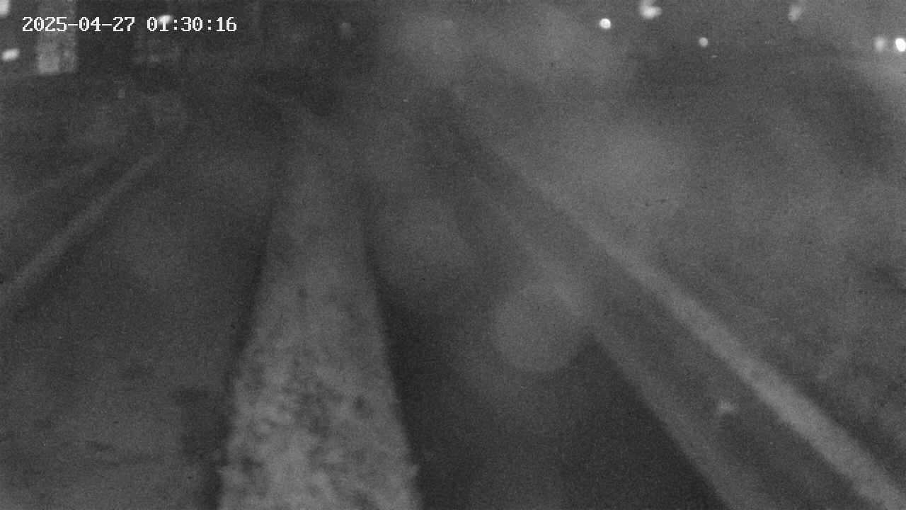 area9-20250427013017.jpg