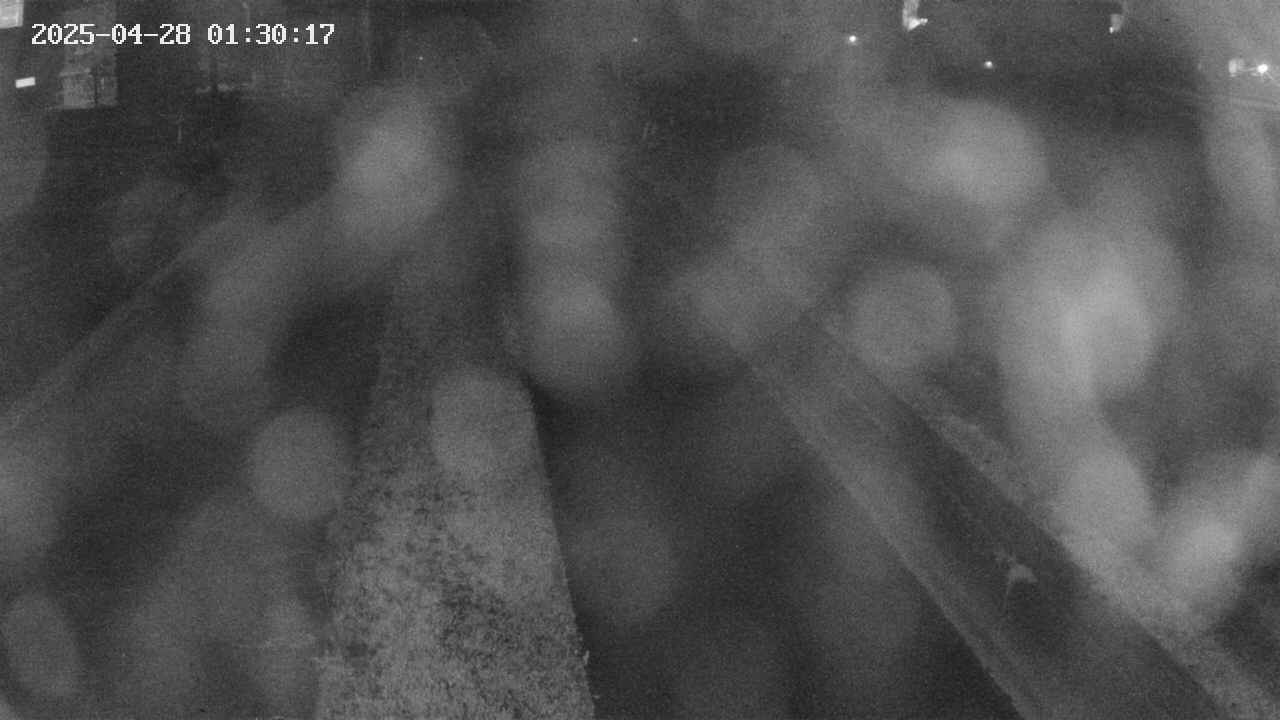 area9-20250428013018.jpg