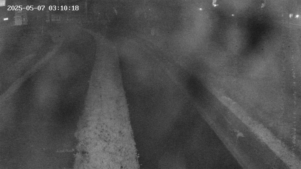 area9-20250507031019.jpg