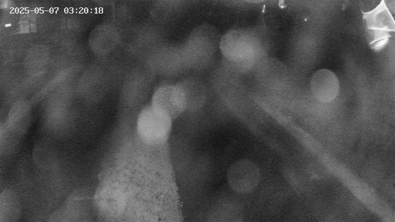 area9-20250507032019.jpg
