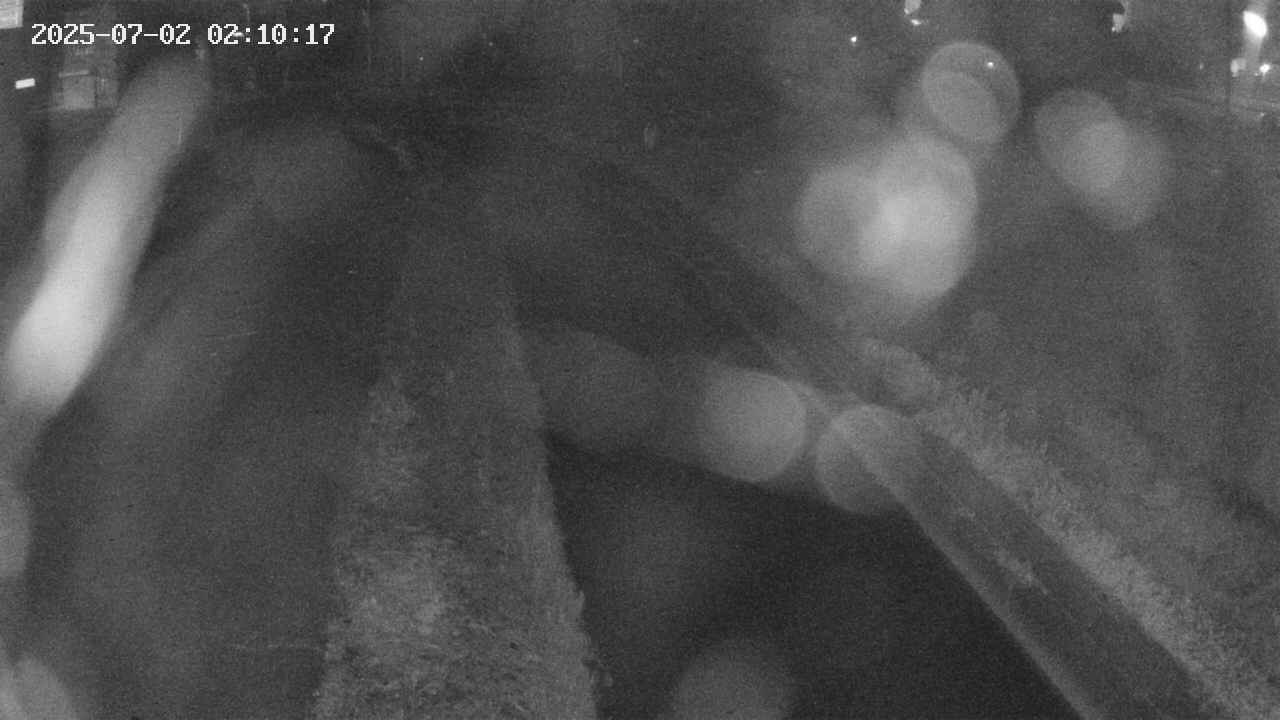 area9-20250702021018.jpg