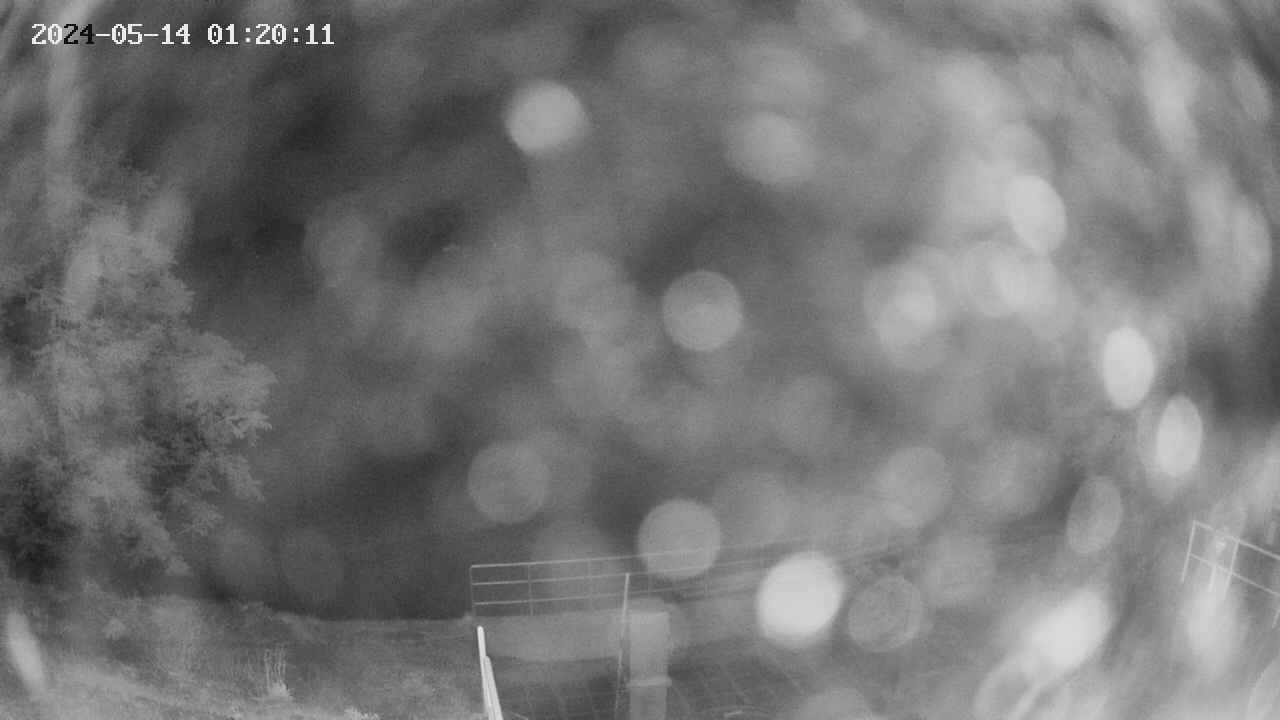 oomori1-20240514012012.jpg