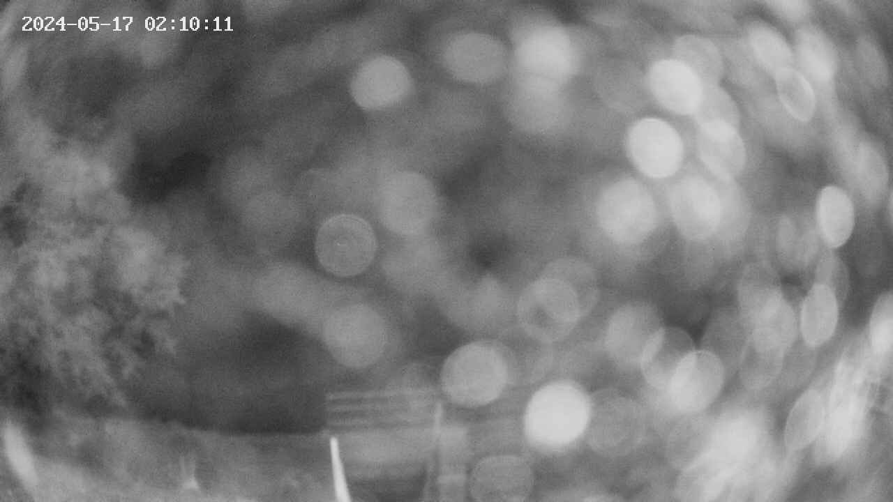 oomori1-20240517021013.jpg