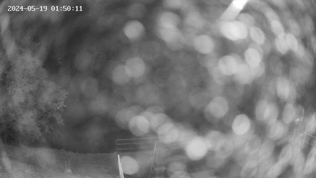 oomori1-20240519015012.jpg