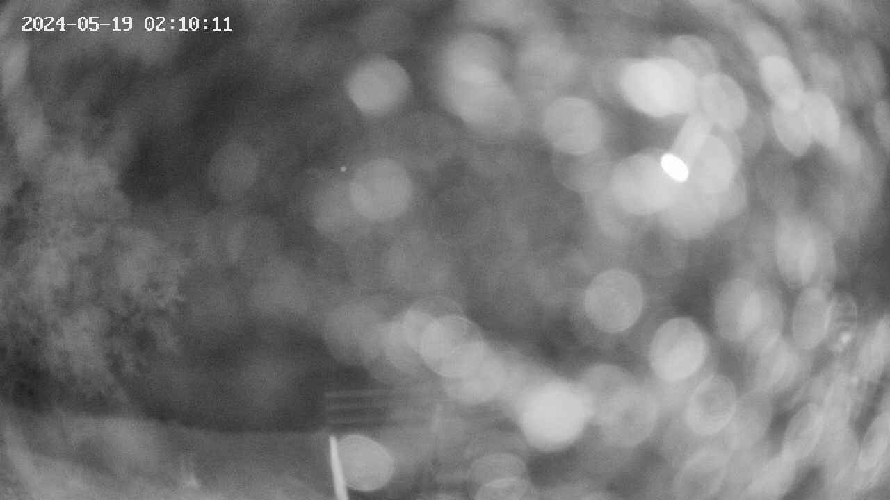 oomori1-20240519021013.jpg