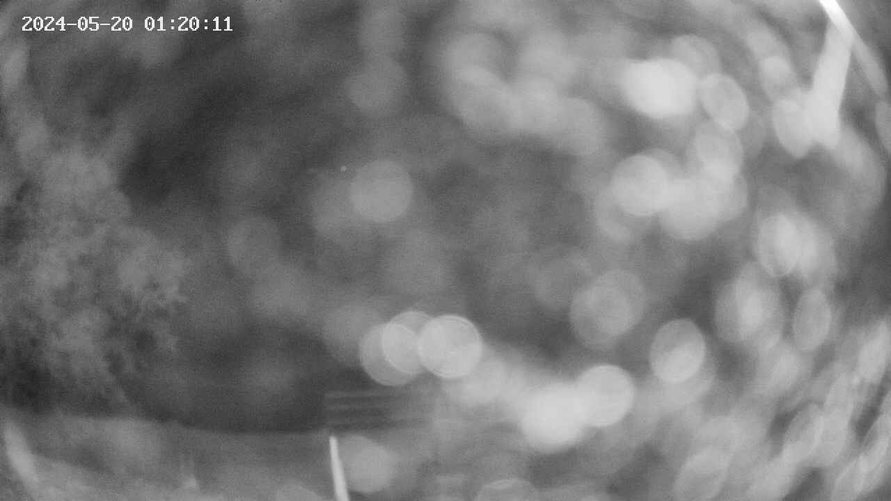 oomori1-20240520012012.jpg