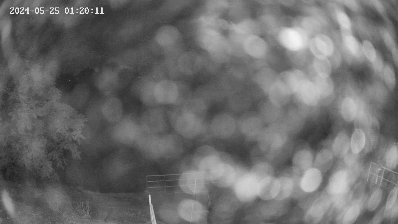oomori1-20240525012012.jpg