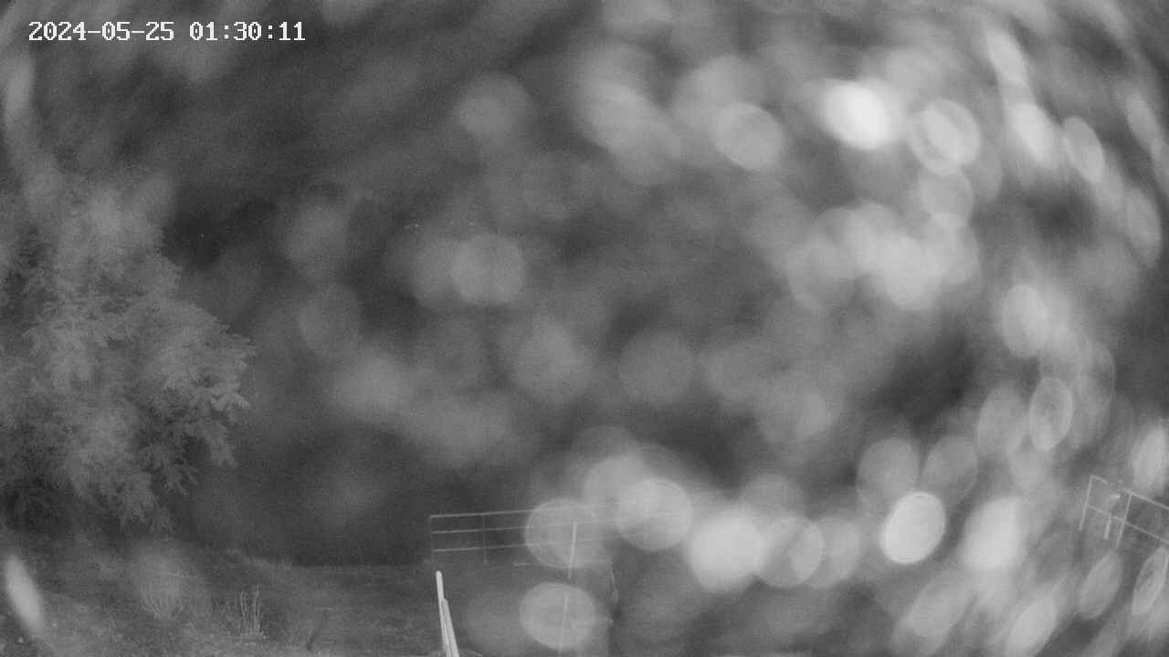 oomori1-20240525013013.jpg