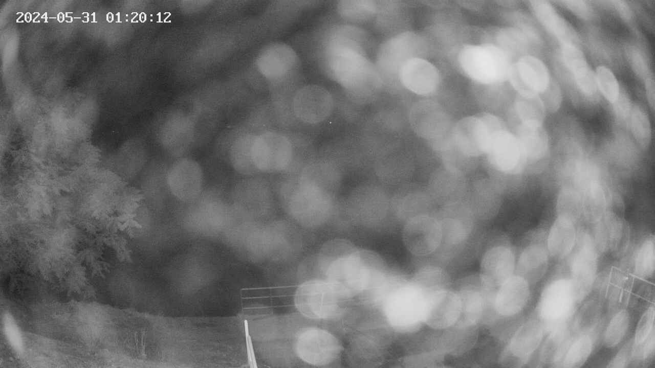 oomori1-20240531012013.jpg