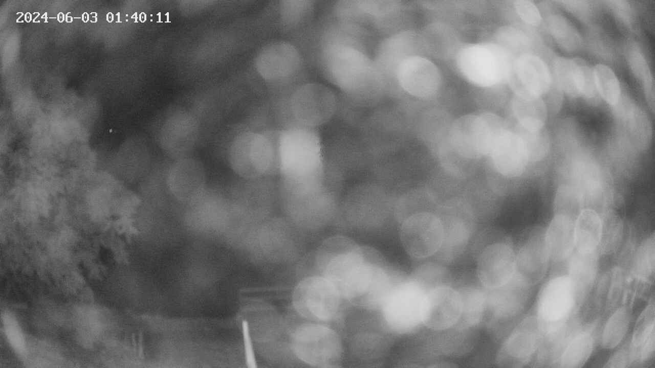 oomori1-20240603014012.jpg