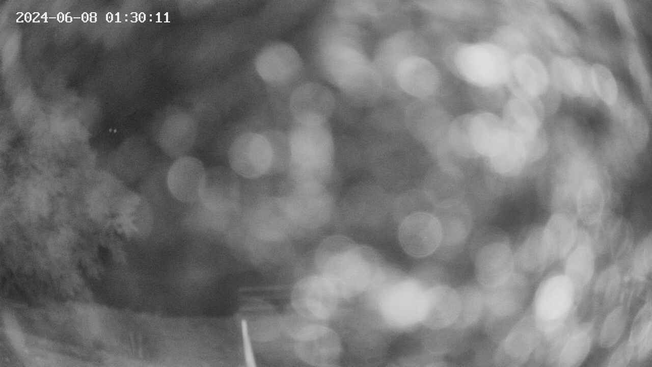 oomori1-20240608013012.jpg