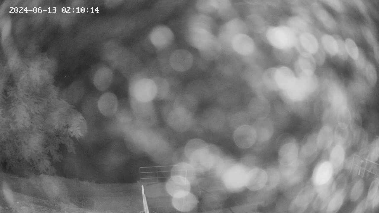 oomori1-20240613021015.jpg
