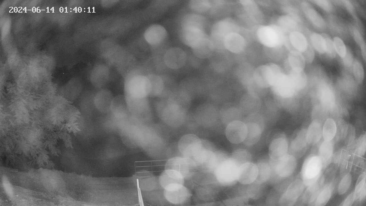 oomori1-20240614014012.jpg