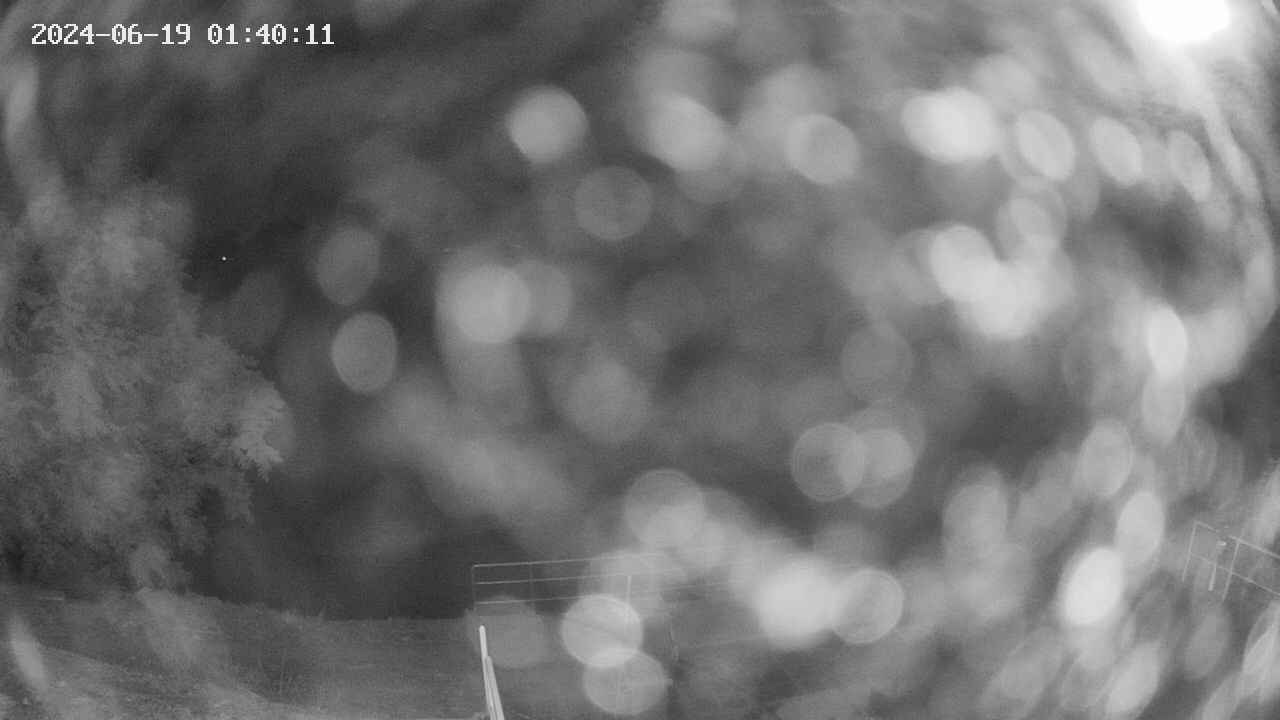 oomori1-20240619014012.jpg