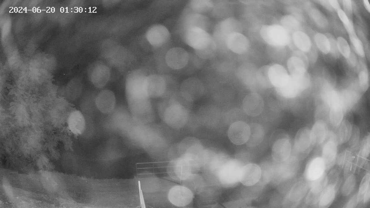 oomori1-20240620013013.jpg