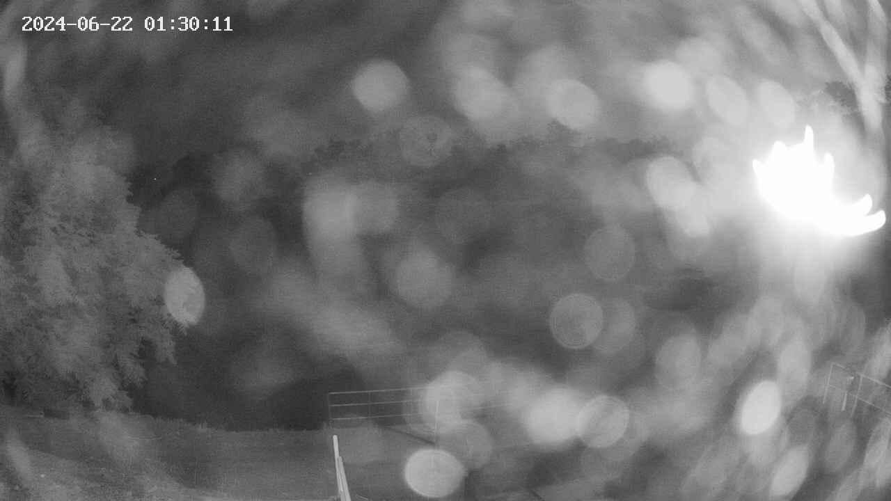 oomori1-20240622013012.jpg
