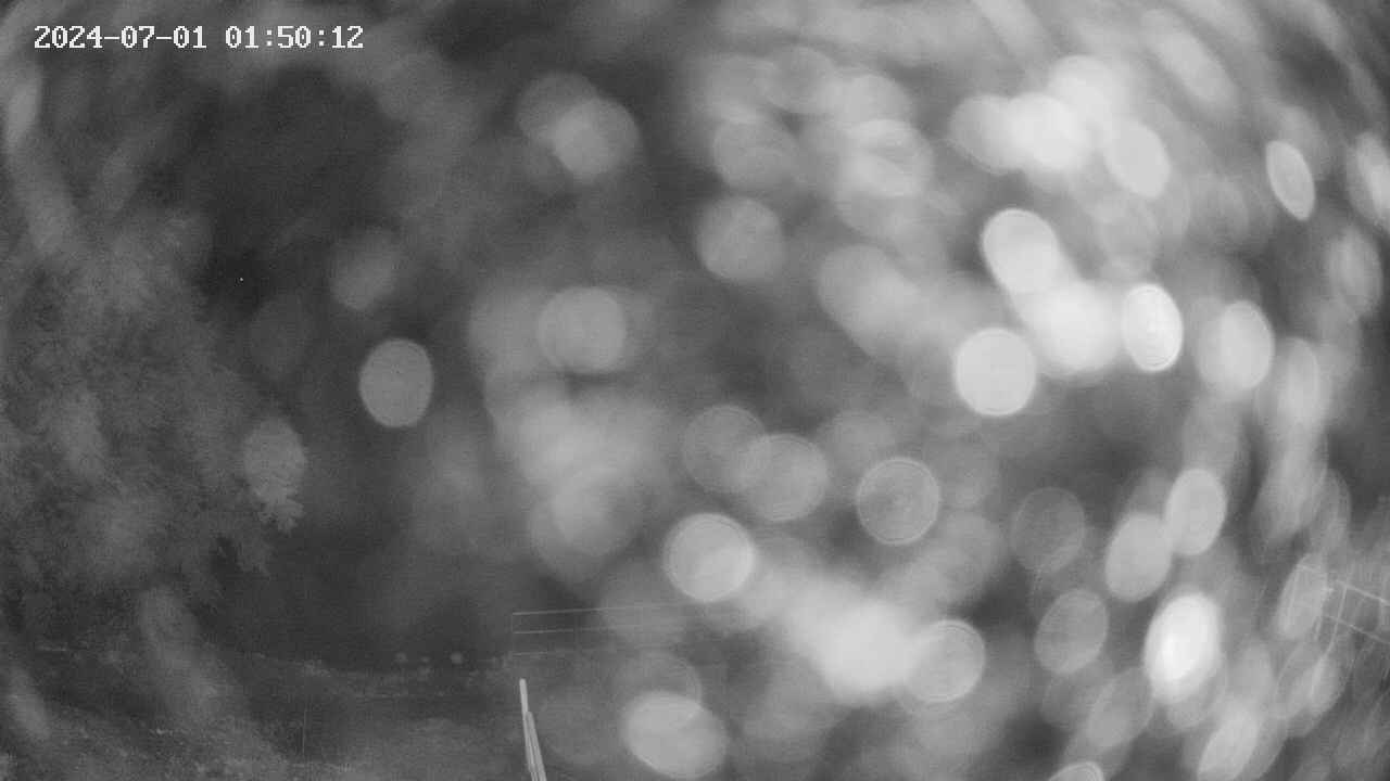 oomori1-20240701015013.jpg
