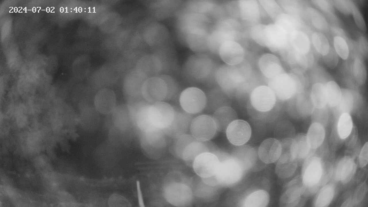 oomori1-20240702014012.jpg
