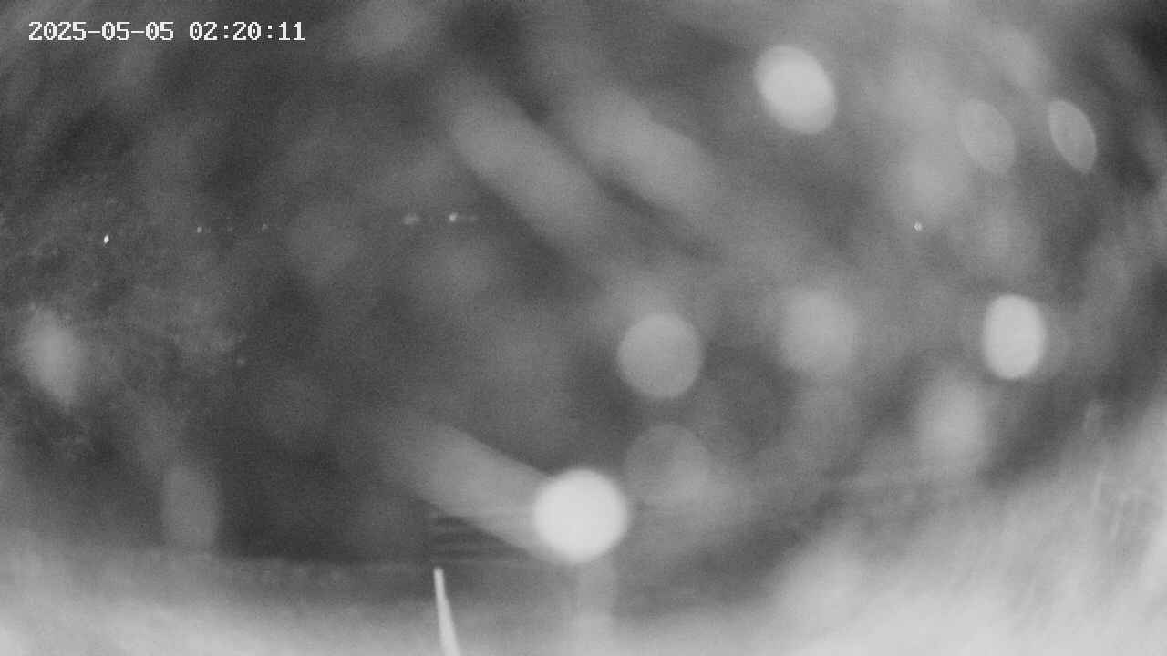 oomori1-20250505022012.jpg