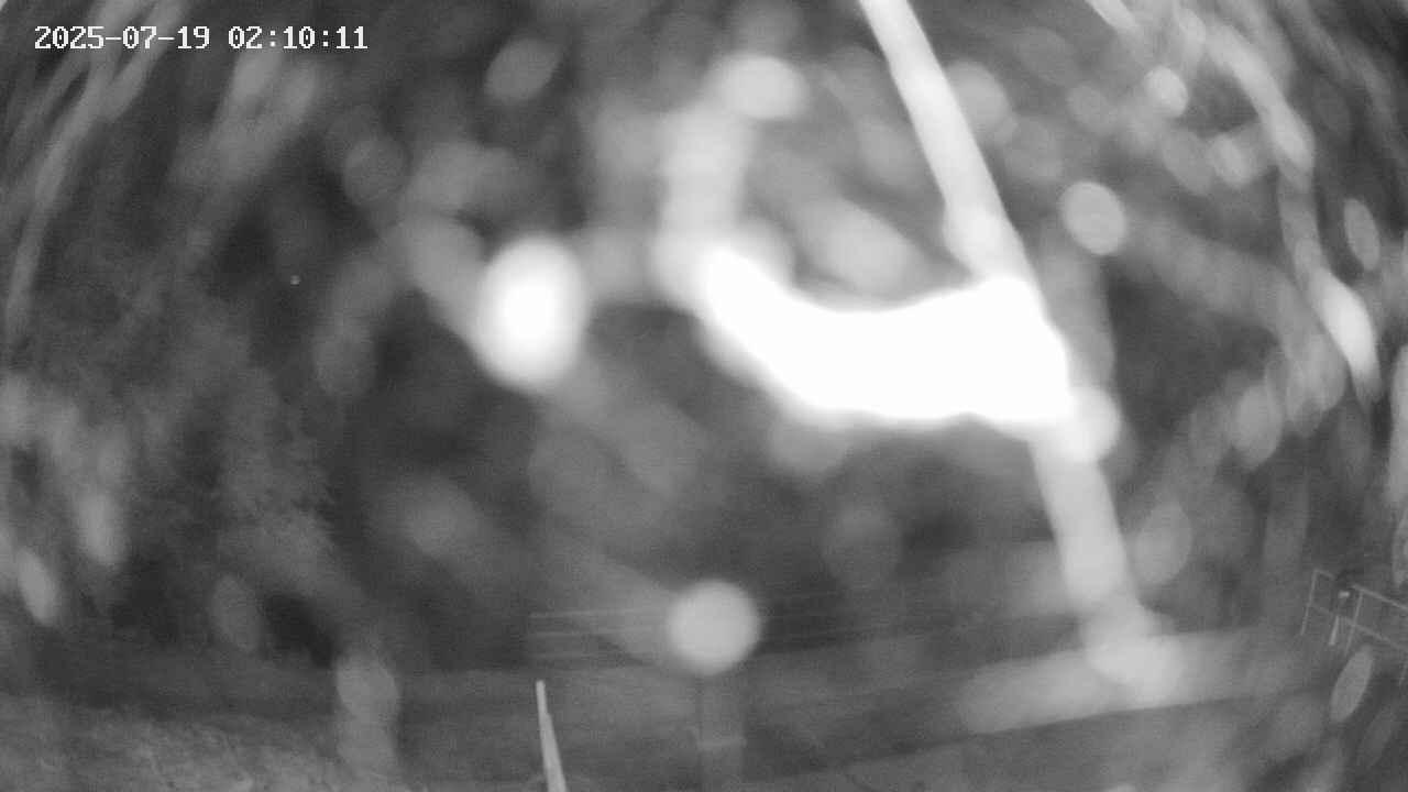 oomori1-20250719021013.jpg