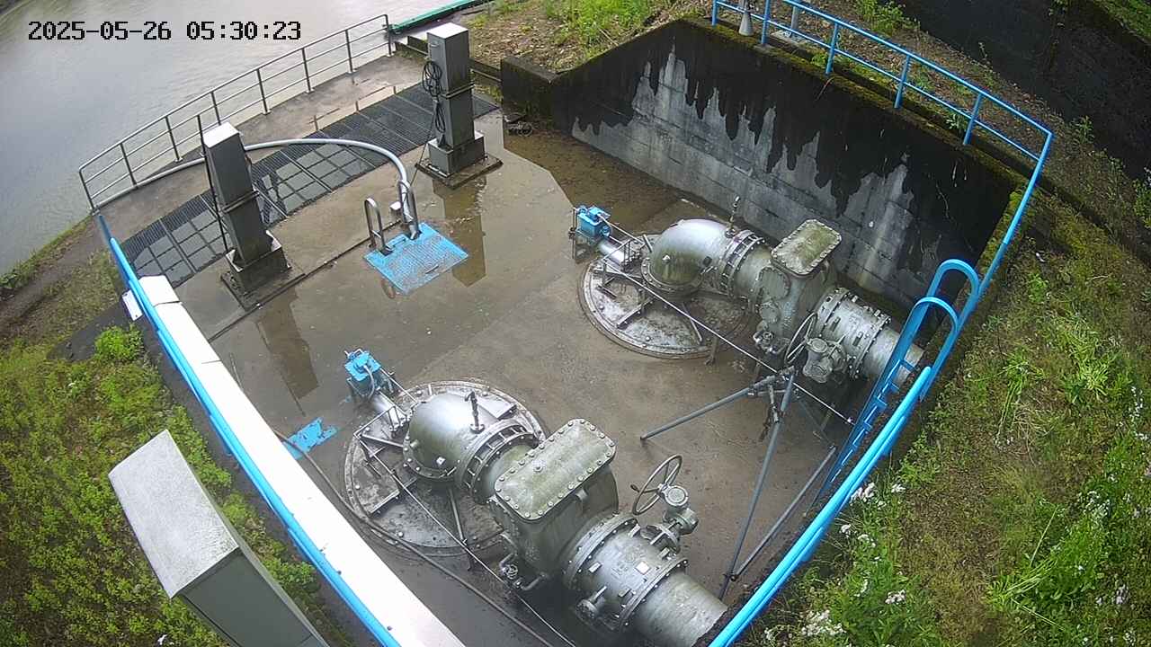 oomori2-20250526053025.jpg