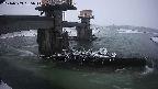 yamashirozeki1-20240303055015.jpg