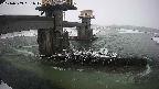 yamashirozeki1-20240303061016.jpg