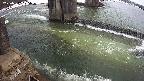 yamashirozeki2-20250312125030.jpg