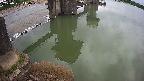 yamashirozeki2-20250531110029.jpg