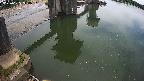 yamashirozeki2-20250625114031.jpg
