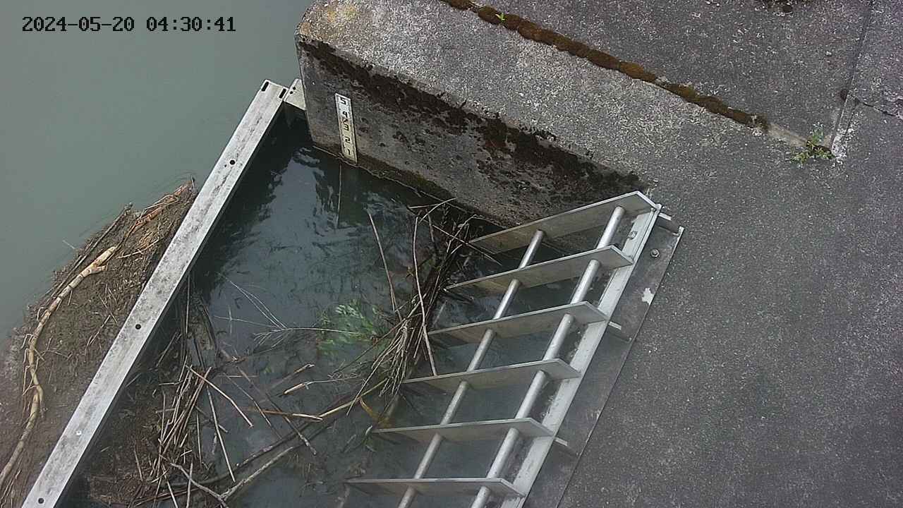 yamashirozeki3-20240520043043.jpg