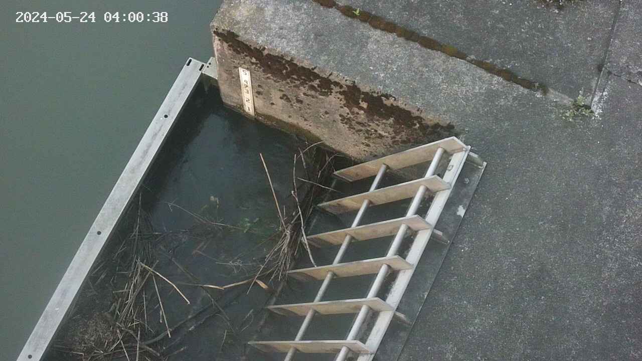 yamashirozeki3-20240524040039.jpg