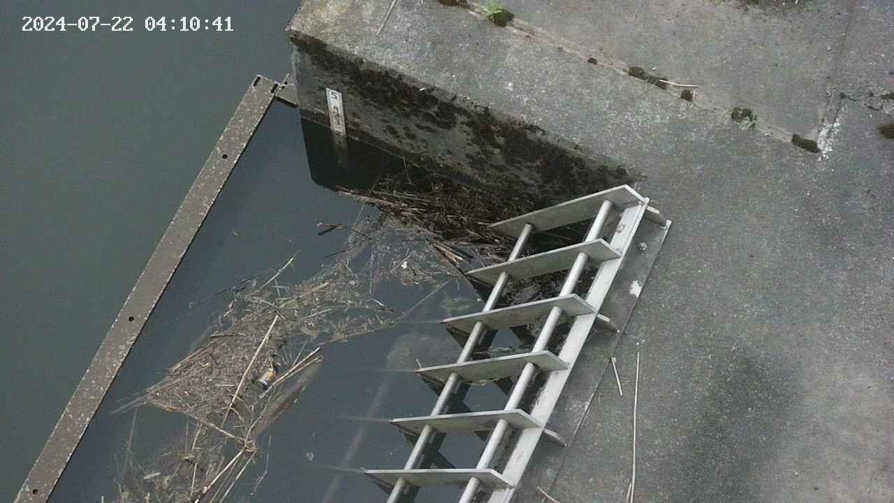 yamashirozeki3-20240722041042.jpg
