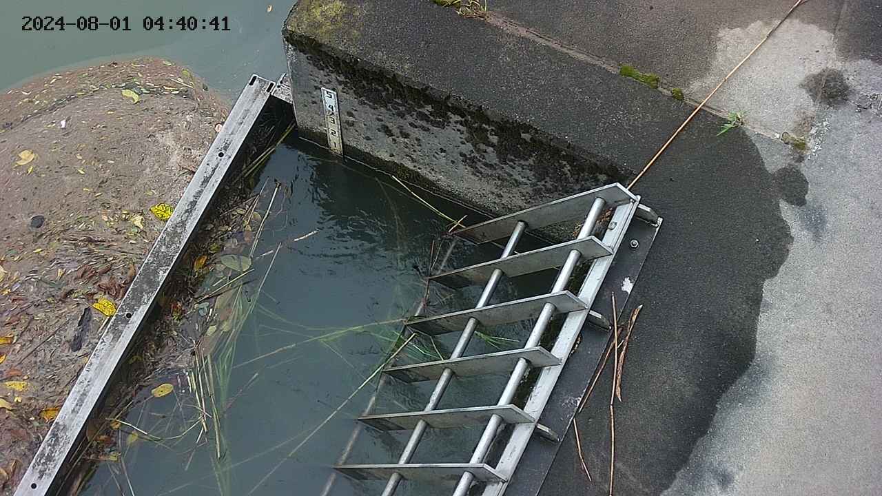 yamashirozeki3-20240801044043.jpg