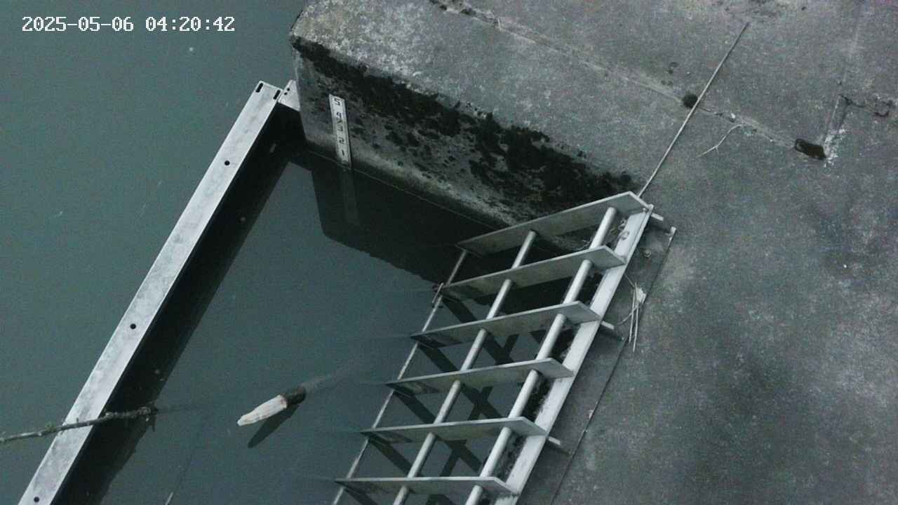 yamashirozeki3-20250506042044.jpg