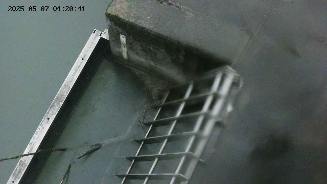 yamashirozeki3-20250507042042.jpg