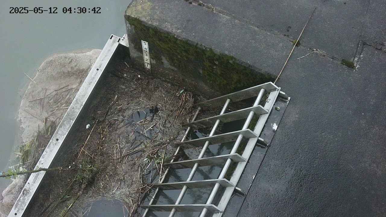 yamashirozeki3-20250512043043.jpg