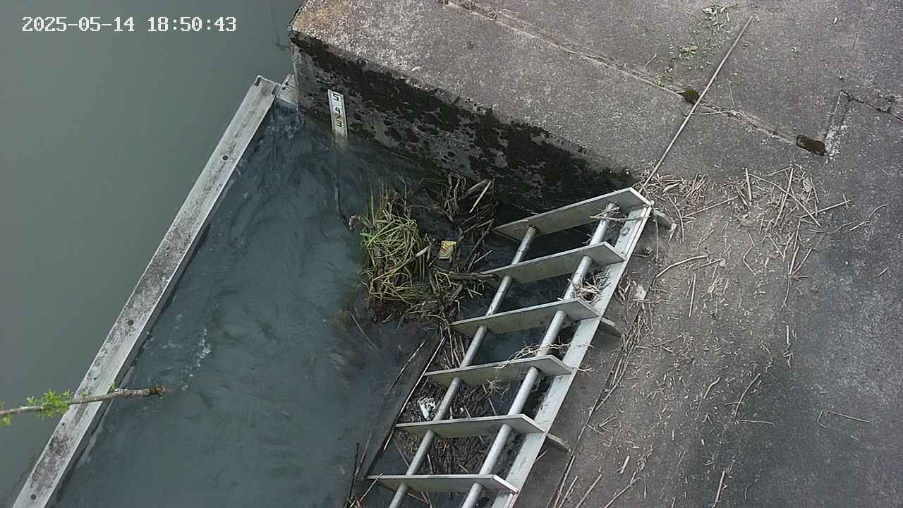 yamashirozeki3-20250514185044.jpg