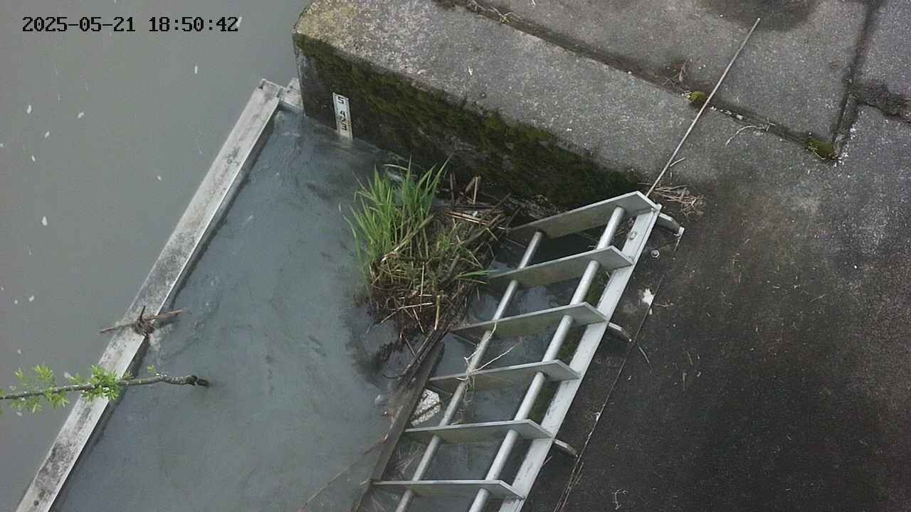yamashirozeki3-20250521185043.jpg