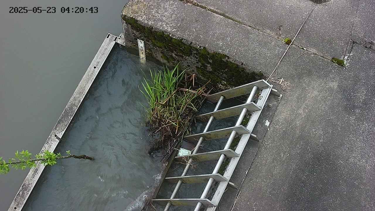 yamashirozeki3-20250523042045.jpg
