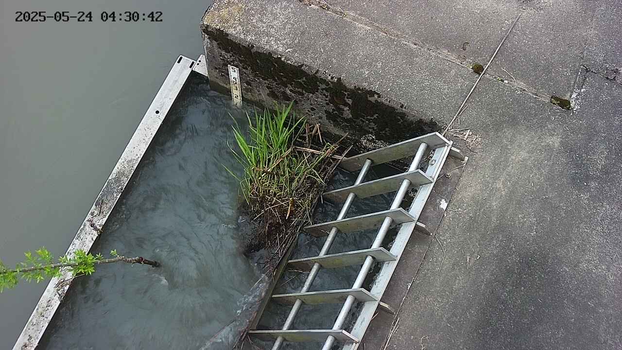 yamashirozeki3-20250524043044.jpg