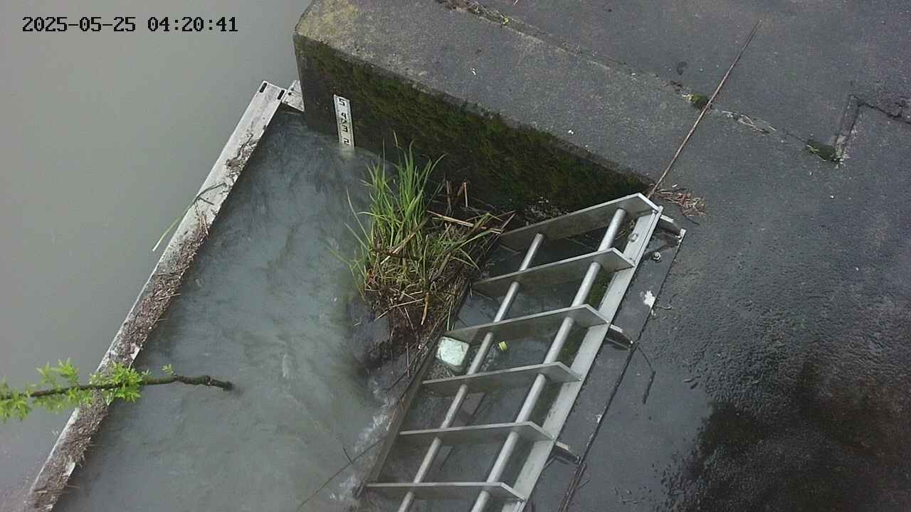 yamashirozeki3-20250525042042.jpg
