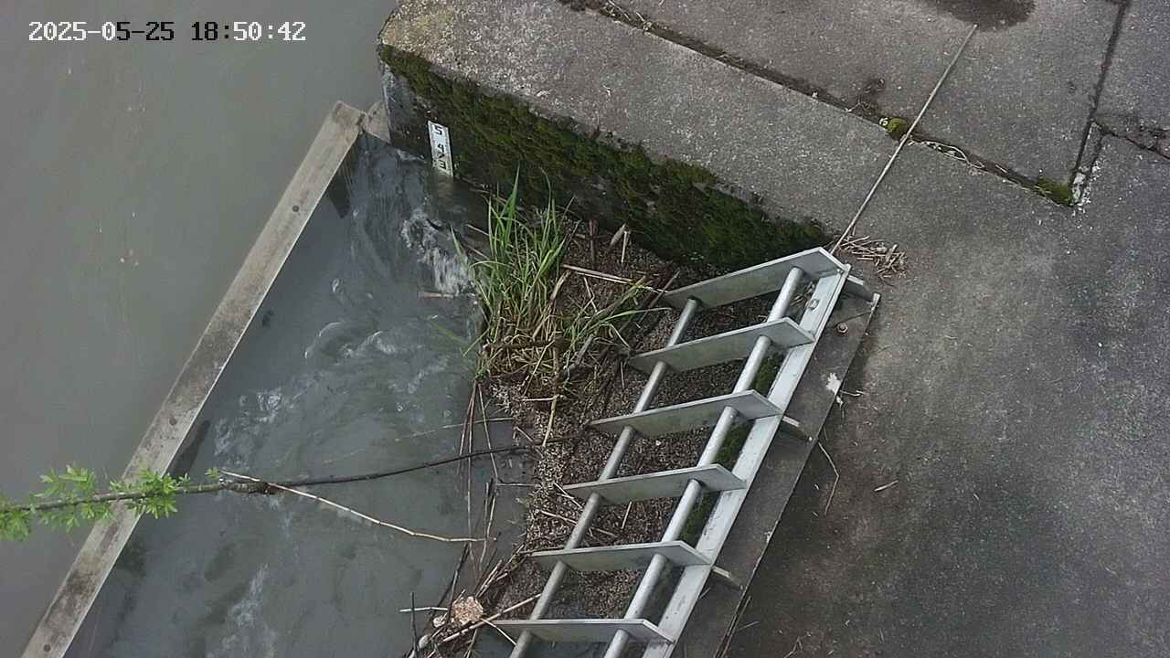 yamashirozeki3-20250525185043.jpg
