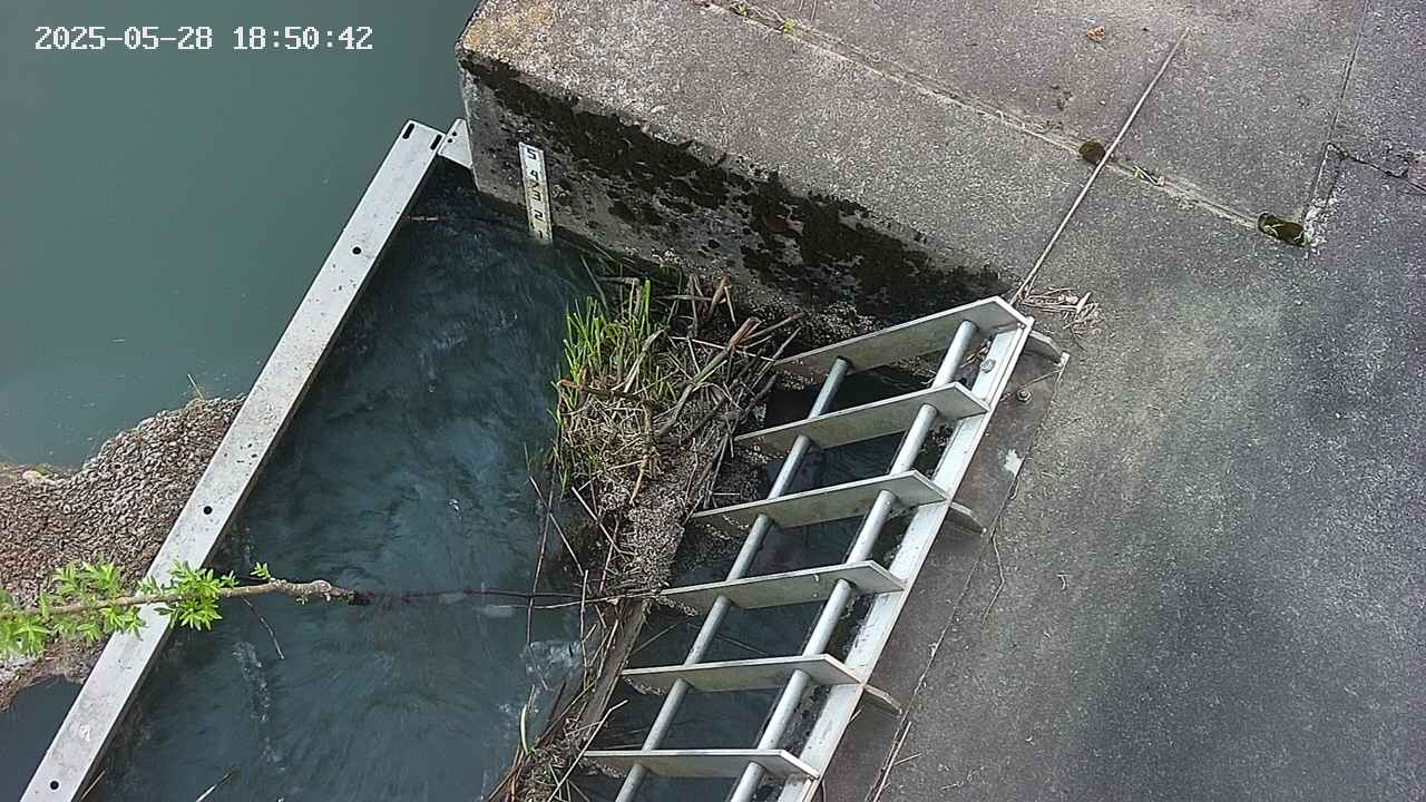 yamashirozeki3-20250528185043.jpg