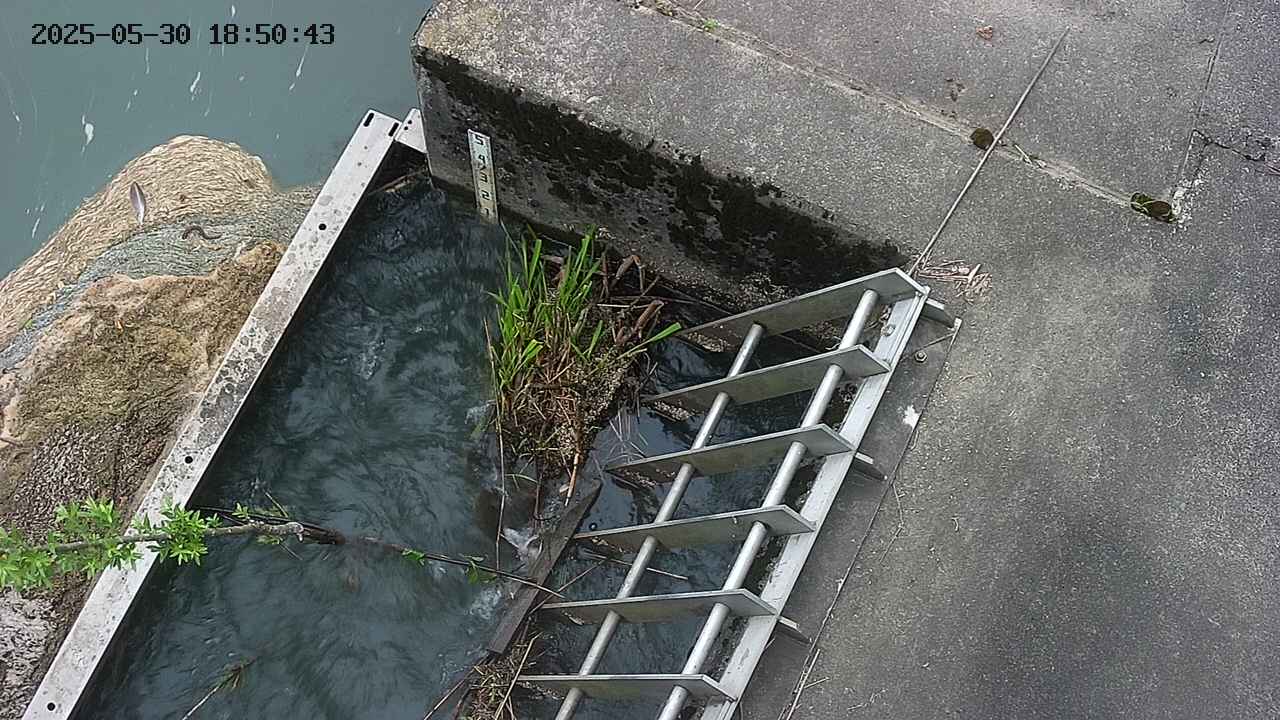 yamashirozeki3-20250530185044.jpg