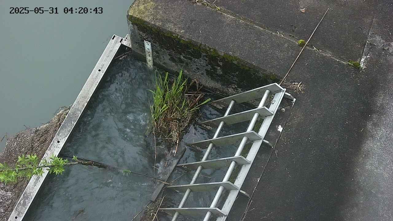 yamashirozeki3-20250531042044.jpg