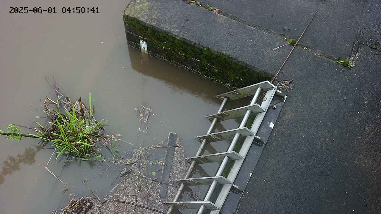 yamashirozeki3-20250601045042.jpg