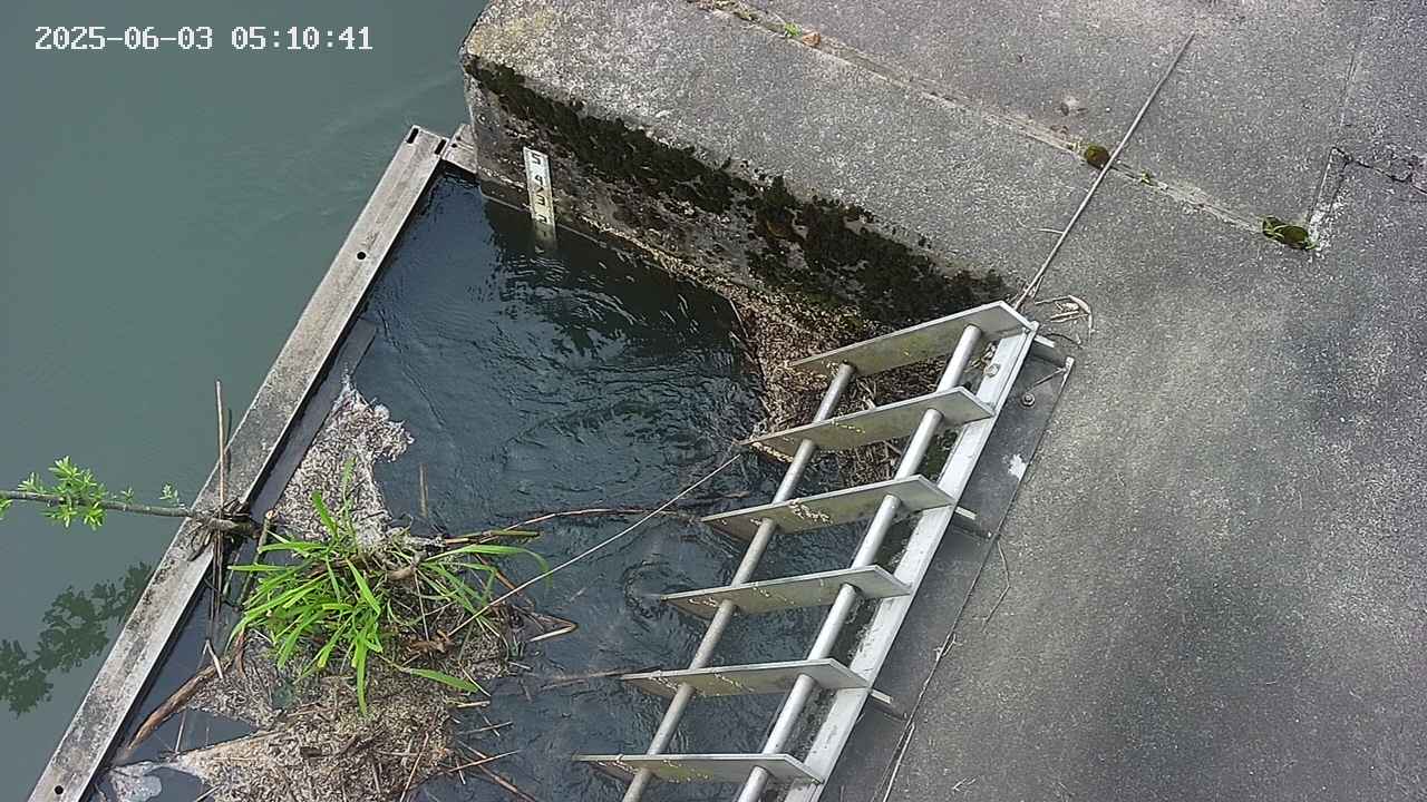 yamashirozeki3-20250603051042.jpg