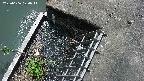 yamashirozeki3-20250606120042.jpg